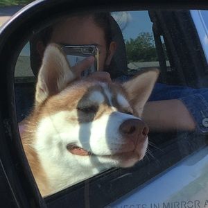 Meet your Posher, Kayla